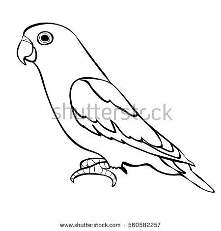 Selain beberapa contoh kumpulan di atas, kamu bisa menggambar sendiri jenis burung lainnya lho. 25+ Inspirasi Keren Sketsa Gambar Burung Love Bird - Tea And Lead