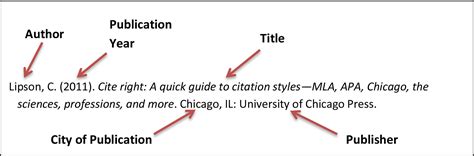 How To Write A Bibliography For A