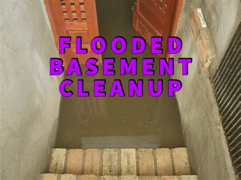 Flooded Basement Cleanup The 1 Teams Helpful Advice