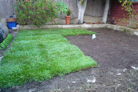 But it might end up adding more time than it saves. Can I Lay Sod Over Existing Grass | MyCoffeepot.Org