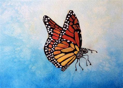 Realistic Butterfly Painting At Explore Collection