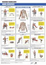 Exercises For Arms Images