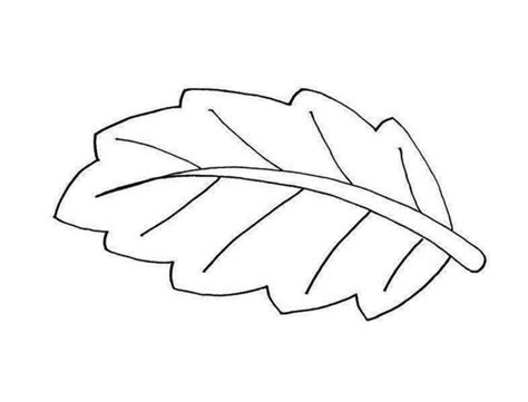 Line Drawing Of A Leaf At Getdrawings Free Download