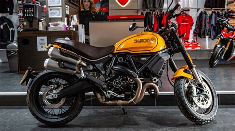2022 Ducati Scrambler 1100 Tribute Pro In Giallo Ocra Brand New Pre