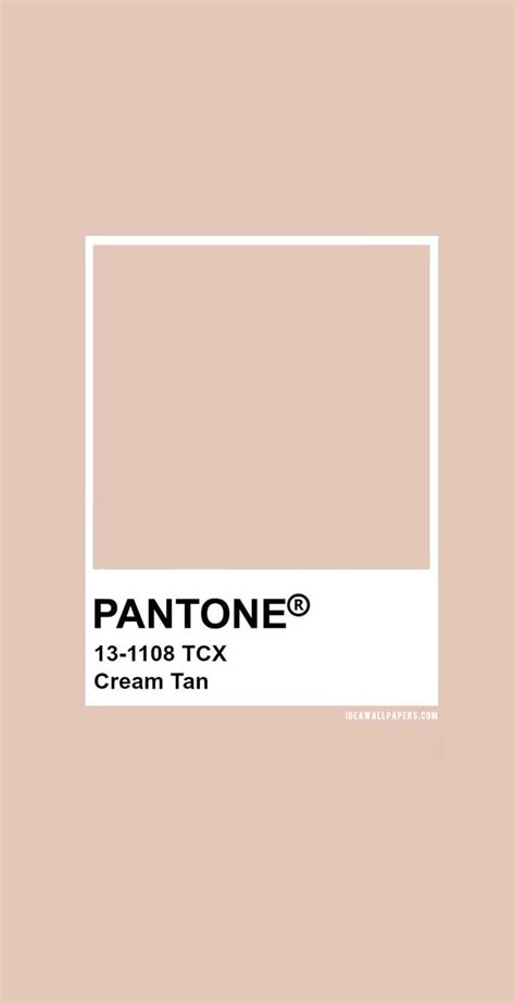 Check spelling or type a new query. Pantone Cream Tan : Pantone 13-1108 , Pantone color palette