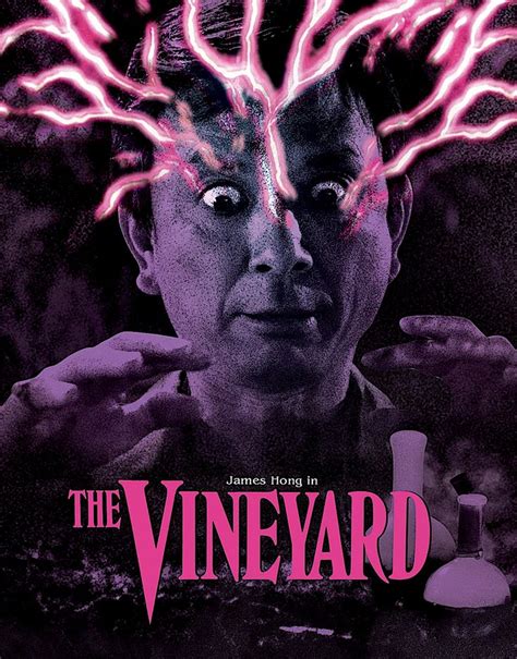 the vineyard limited edition blu ray slipcover vinegar syndrome blu ray horror movie