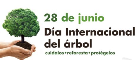 Día Mundial Del Árbol 28 De Junio Resumen