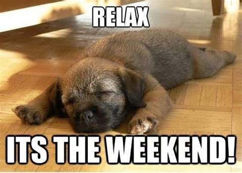 Its the weekend dog images. Relax It's The Weekend Pictures, Photos, and Images for ...