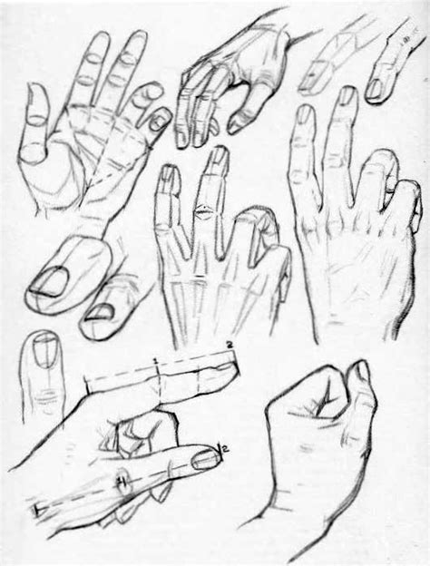 How To Draw Hands Reference Sheets And Guides To Drawing Hands How To Draw Step By Step