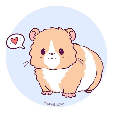 How To Draw A Cute Guinea Pig At How To Draw