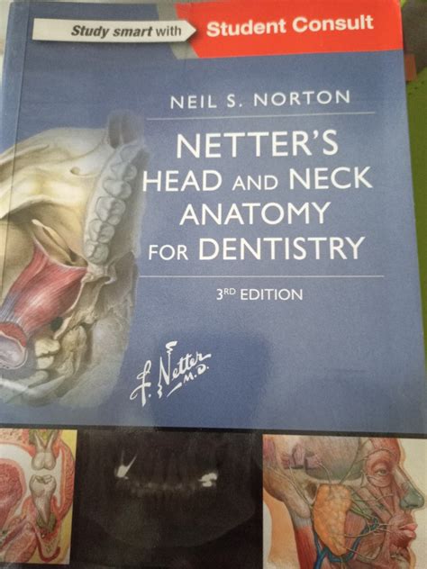 Netters Head And Neck Anatomy For Dentistry Hobbies And Toys Books
