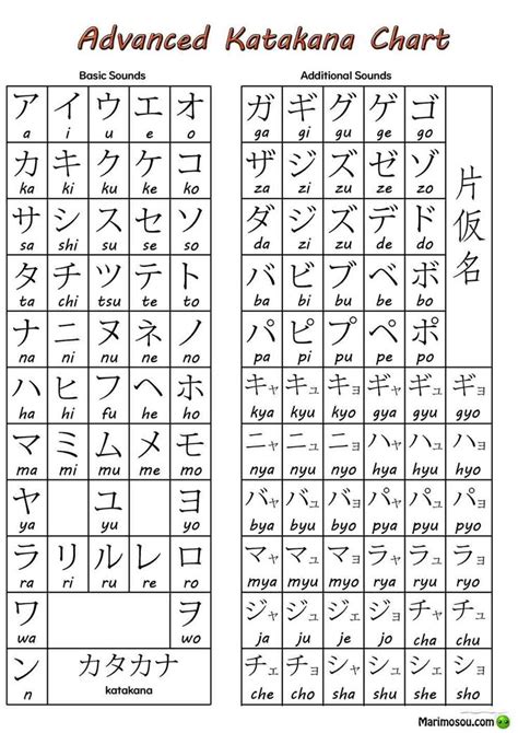 Advanced Katakana Chart Basic Japanese Words Japanese Words Learn