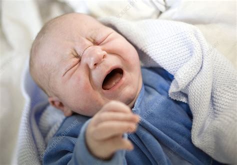 Newborn Baby Boy Crying Stock Image M8150403