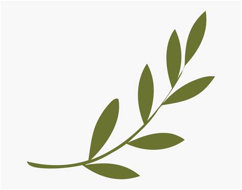 Olive Branch Peace Symbols Olive Wreath Olive Branch Png Free