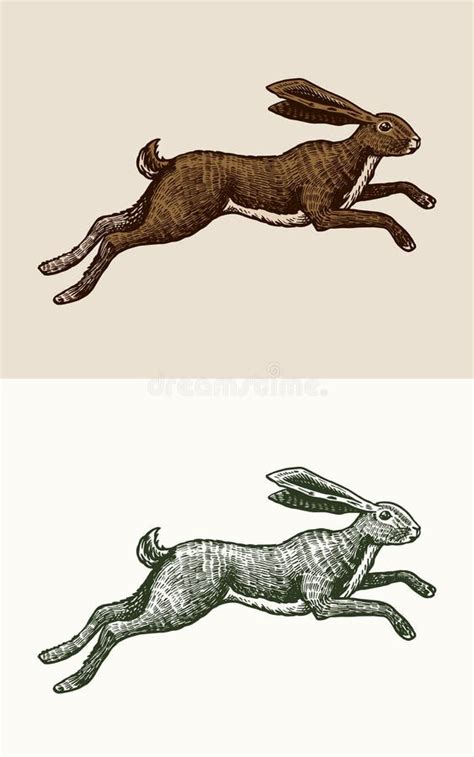 Hare Running Vector Stock Illustrations 2483 Hare Running Vector