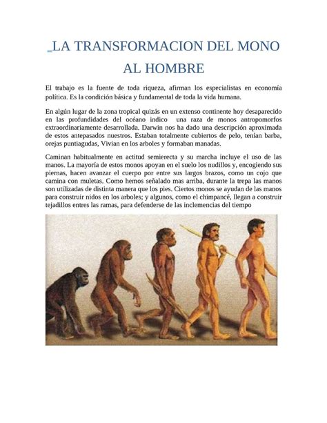 Infografía De La Evolución Humana Pasos De Mono Transformándose Al