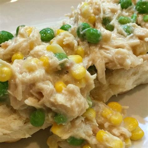 Confessions Of A Semi Domesticated Mama Chicken Crockpot Recipes