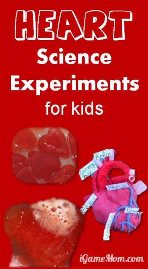 Get up and moving with this fun musical hearts game. Simple Science Experiments with Heart Themes