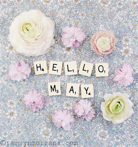 Tamsyn Morgans Hello New Month Category Saisons Mois Bienvenue Mai