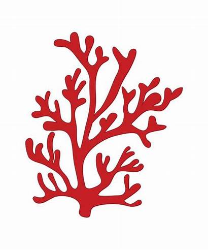 Silhouette Symbol Coral Icon Algae Clip Isolated
