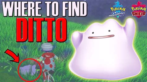 Where To Find Ditto In Pokemon Sword And Shield Ditto Location Youtube