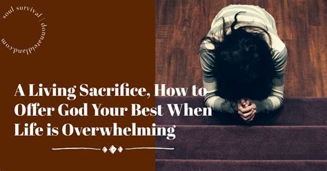 A Living Sacrifice How To Offer God Your Best When Life Is