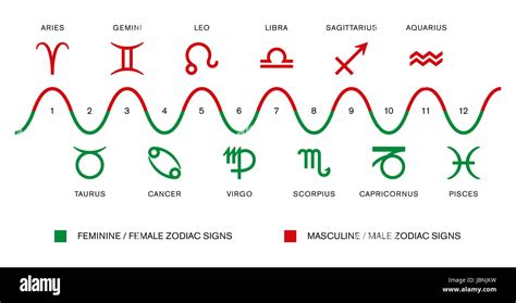 Die Polarität Der Tierkreiszeichen Männlich Männlich Und Weiblich
