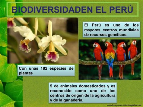 biodiversidad en el perú
