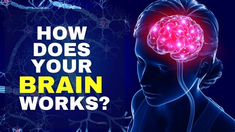 How Does Your Mind Works Human Mind Facts About Brain Youtube