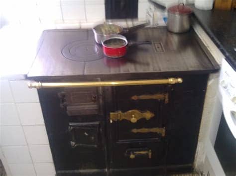 Te contamos cómo evitar que te den gato por liebre. Cocina económica de leña