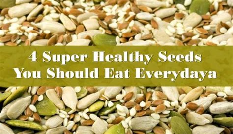 4 Super Healthy Seeds You Should Eat Everyday Shikha Diet