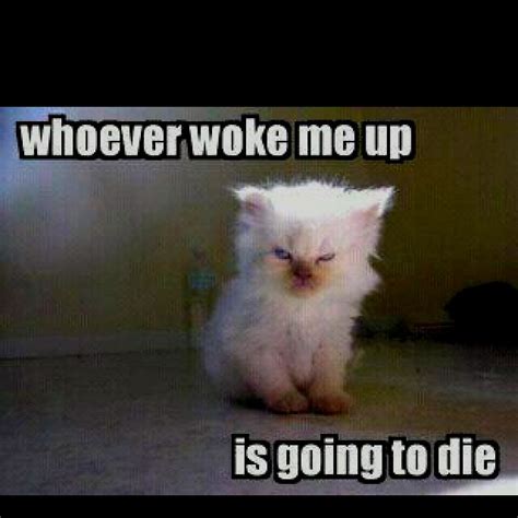 This Is How I Feel In The Morning If I Am Woken Up Funny Animal Quotes