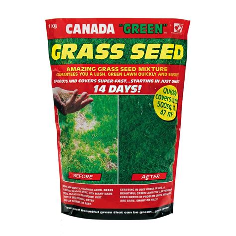 Buy Canada Green Grass Seed 1kg 47 Square Metres Coverage Online At