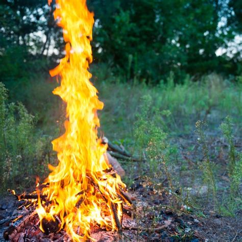 Premium Photo Bonfire In The Forest With Big Fire Flame