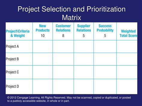 Project Prioritization Matrix Template