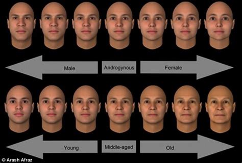 How Faces Can Appear Male Or Female Depending On How We Are Lookin At