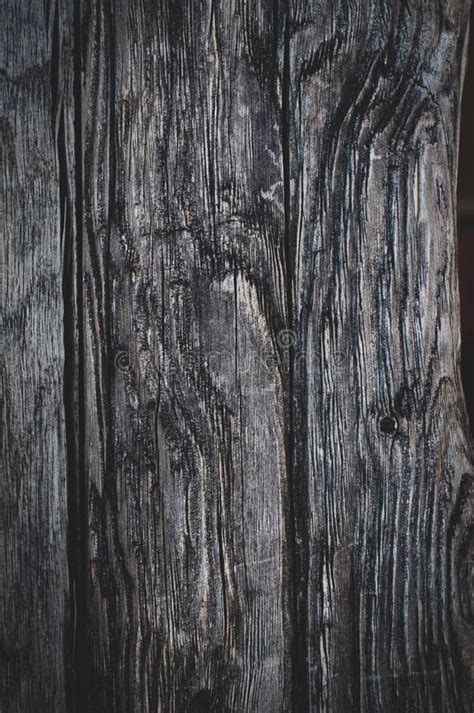 Vertical Background Of Old Weathered Dark Brown Cracked Wooden Gnarled