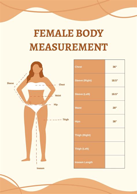 female body measurement chart in illustrator portable documents download