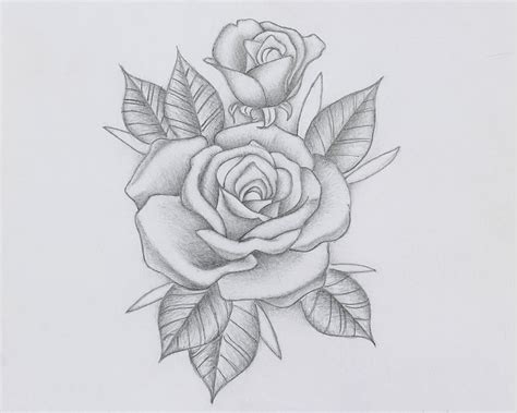 How To Draw Roses Roses Drawing Drawings Art Design My XXX Hot Girl