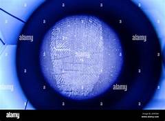 Under The Microscope Police Procedures And Training Under Scrutiny