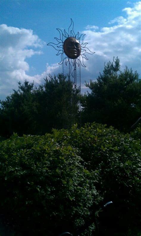 Each piece is its own creation with rustic character. 14 foot closet shelf used as a trellis with my Sun Mounted ...