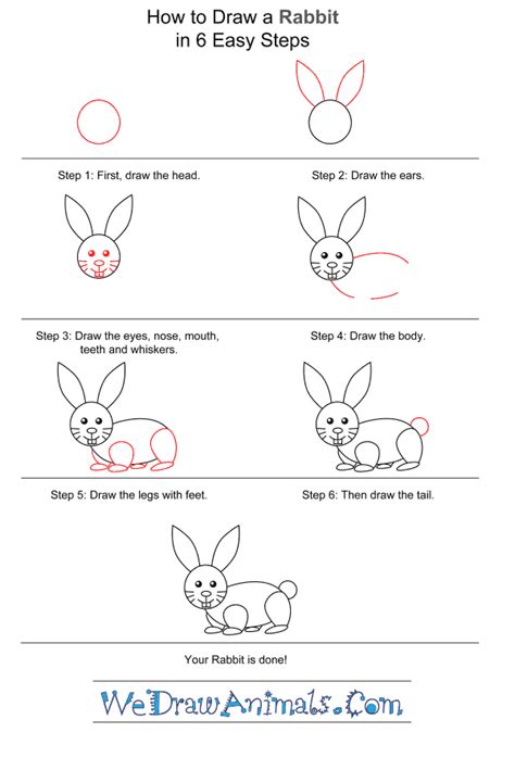 How To Draw A Simple Rabbit For Kids