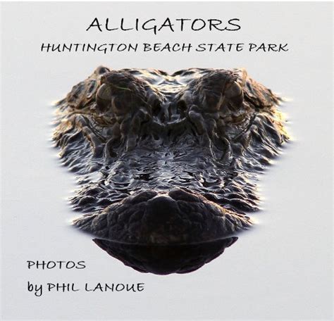 Alligators Huntington Beach State Park By Phil Lanoue Blurb Books Uk