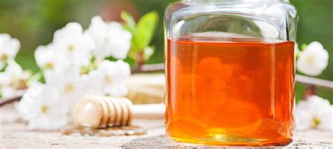 What Is Orange Blossom Honey How Its Produced And Benefits