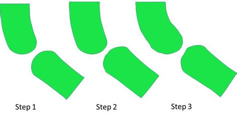 Joint Morphogenesis Over 3 Steps Of Growth The Joint Progressively