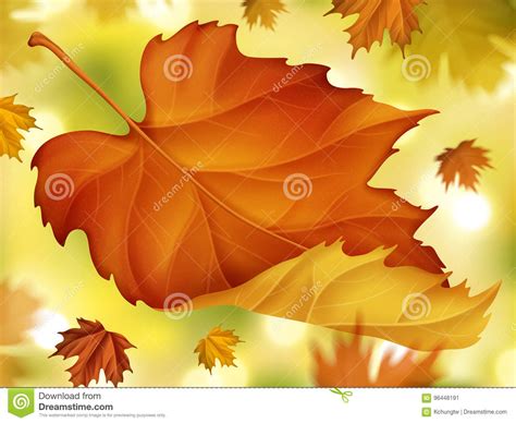 Elegant Fall Foliage Background Stock Vector