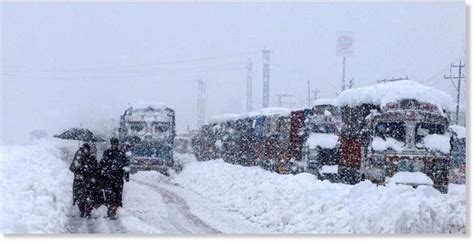 Late February Snowfall In Kashmir Brings Back Cold Wave Like Conditions