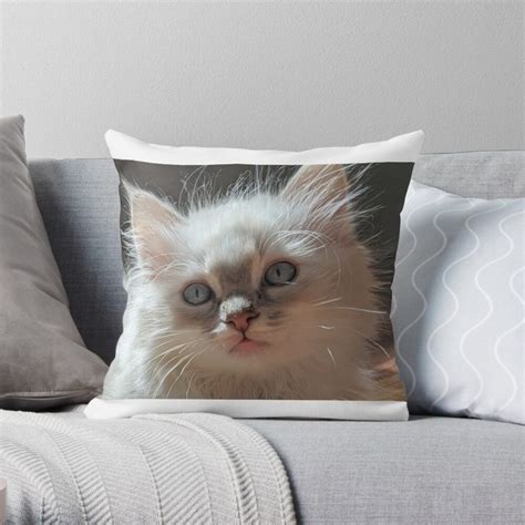 Ragdoll Kitten Throw Pillow For Sale By Fluffycat2020 Ragdoll