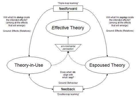 What Is The Next Message On Espoused Theory Theory In Use And Effective Theory