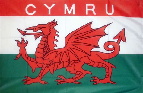 The top half of the flag is white and the bottom half of the flag is green. CYMRU WALES - 3 X 2 FLAG